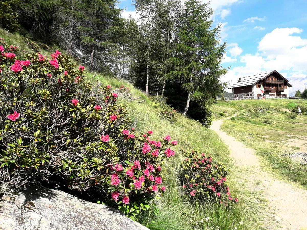 Rifugio Al Lago Del Mortirolo In Inverno Raggiungibile Solo A Piedi Monno 외부 사진
